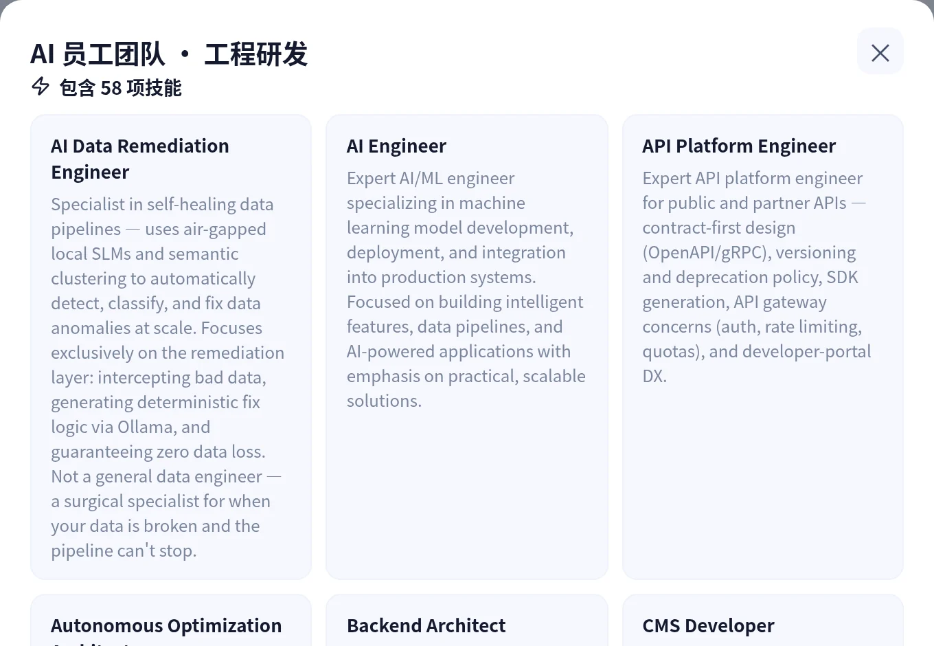 Detail view of the engineering AI team: 58 skills, each role listed with its own responsibilities